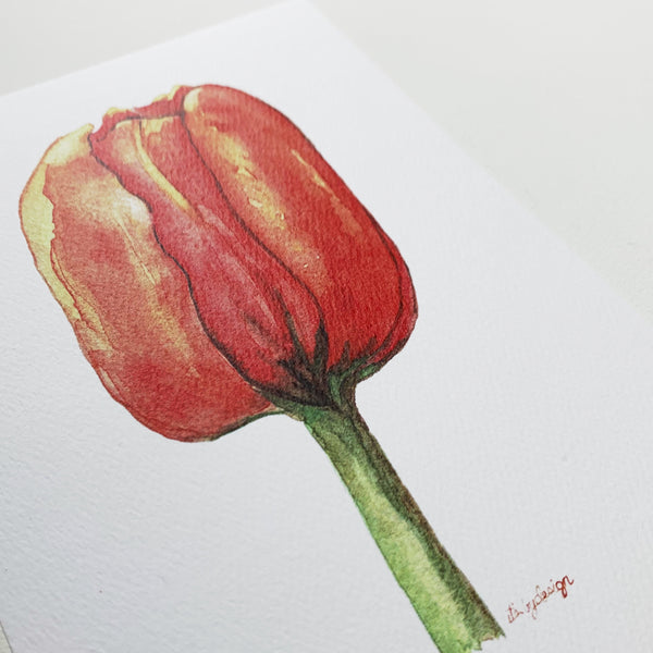orange/red tulip / 5 x 7 inch / PRINT from original watercolor / flower print Active