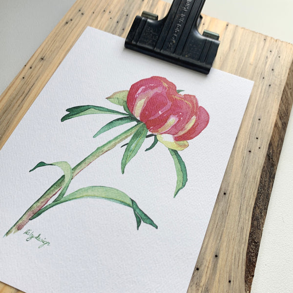 pink peony / 5 x 7 inch / PRINT from original watercolor / flower print